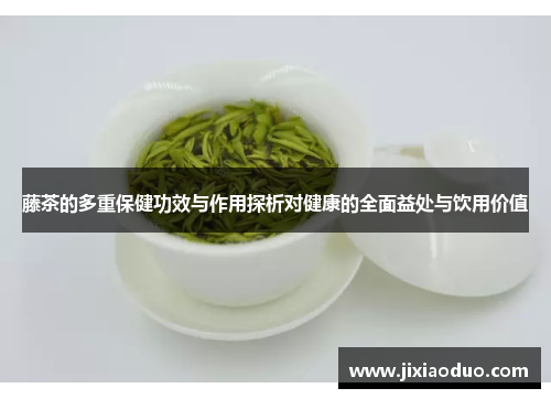 藤茶的多重保健功效与作用探析对健康的全面益处与饮用价值