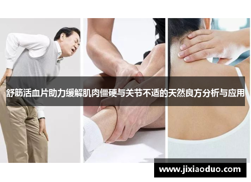 舒筋活血片助力缓解肌肉僵硬与关节不适的天然良方分析与应用